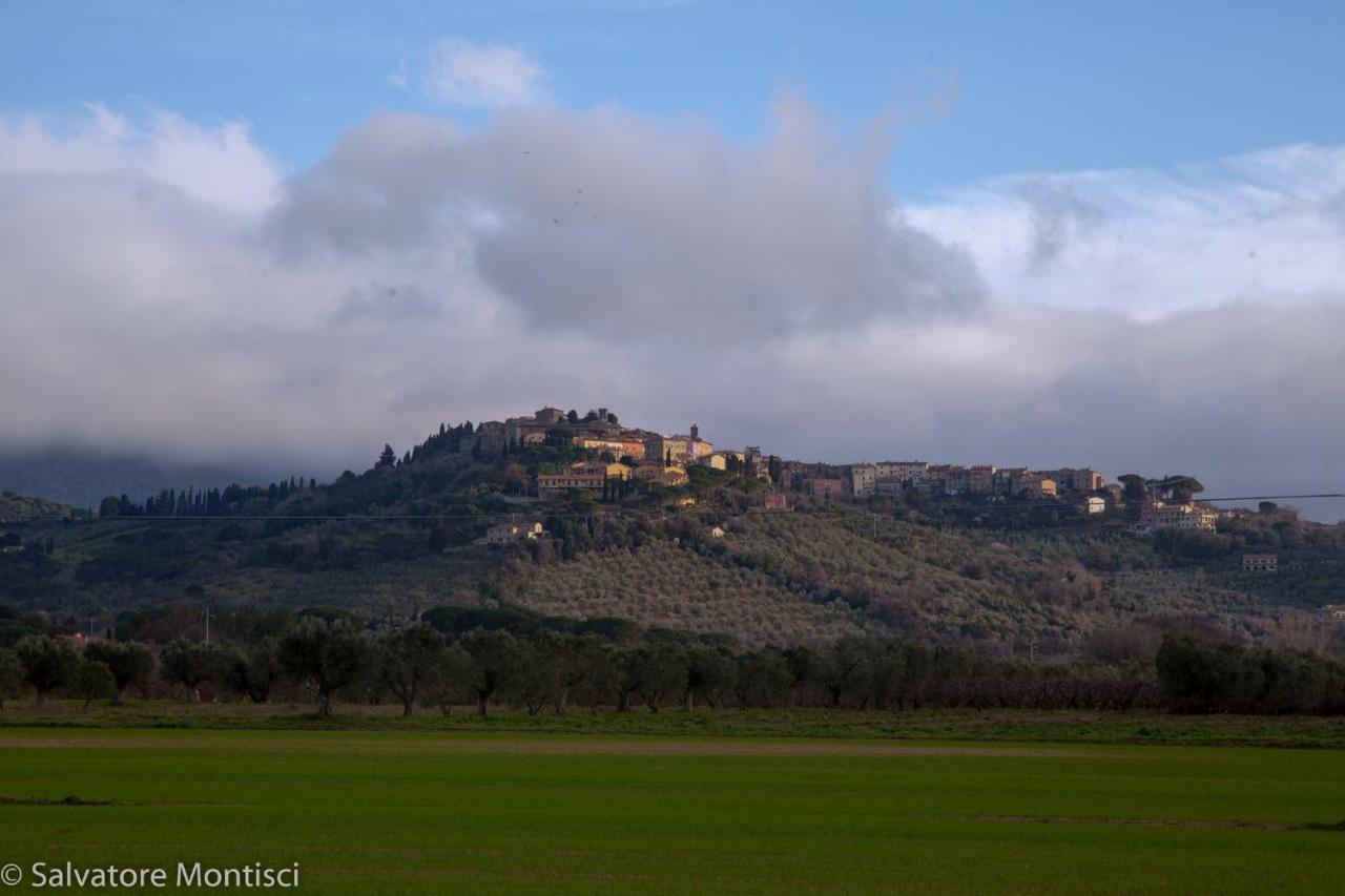 Casetta Singola Vicino Al Mare Castagneto Carducci Buitenkant foto